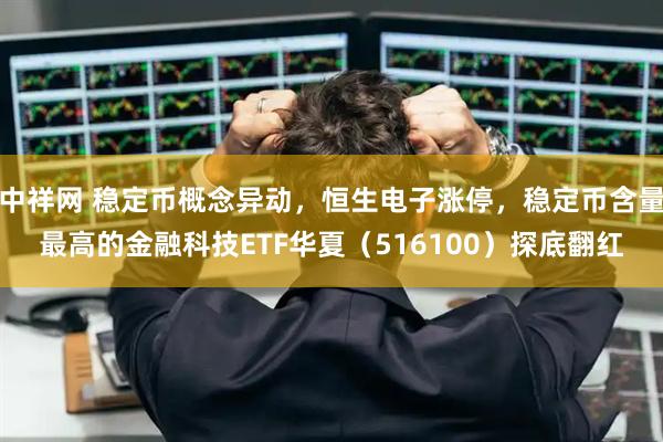 中祥网 稳定币概念异动，恒生电子涨停，稳定币含量最高的金融科技ETF华夏（516100）探底翻红