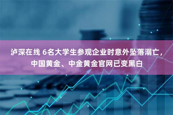 泸深在线 6名大学生参观企业时意外坠落溺亡，中国黄金、中金黄金官网已变黑白