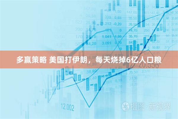 多赢策略 美国打伊朗，每天烧掉6亿人口粮